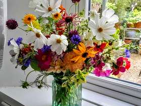 Freecycle Fresh flowers in a glass vase