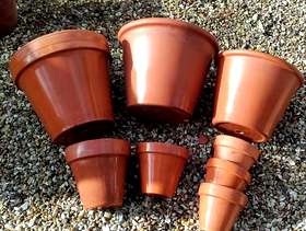 Freecycle 8 terracotta plant pots