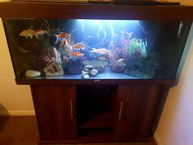 Freecycle Large 4ft tank