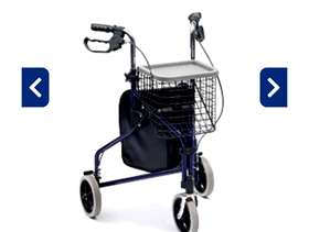 Freecycle Tri wheeled walker