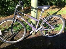 Freecycle Bicycle