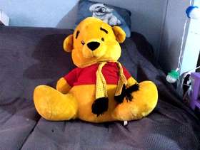 Freecycle Large teddy