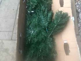 Freecycle Christmas tree