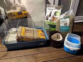 Freecycle Pet - Guinea Pig/Rabbit items available