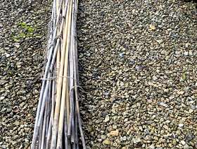 Freecycle Garden canes - various sizes