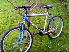 Freecycle Mountain BIKE