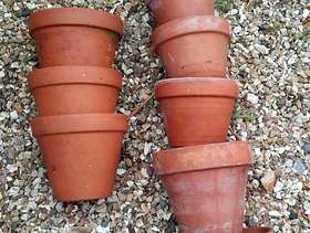 Freecycle 10 terracotta plant pots