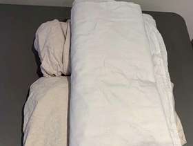 Freecycle Single sheets & mattress protector WD23