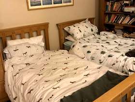 Freecycle 2 wooden single beds plus mattresses