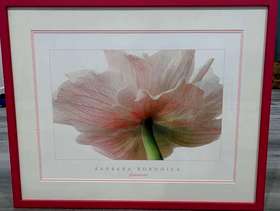 Freecycle Framed print