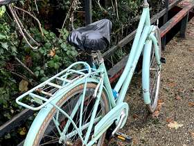 Freecycle Pendleton bike