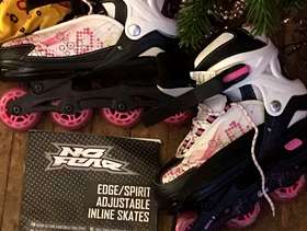 Freecycle Roller skates