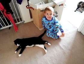 Freecycle Children's storage unit