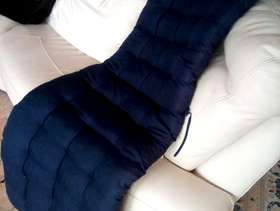 Freecycle Lounger cushions