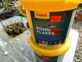 Freecycle Pond fish food