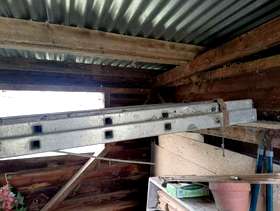 Freecycle Extending ladders