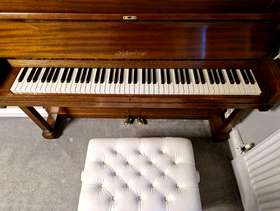 Freecycle Schonberg upright piano