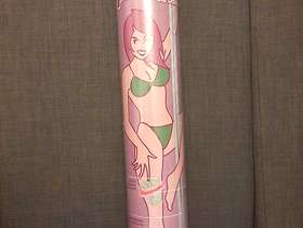 Freecycle Dance pole