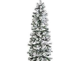 Freecycle Xmas tree