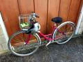 Freecycle Ladies Raleigh cycle