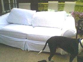 Freecycle Ballard Queen sleeper