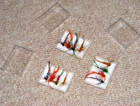 Freecycle Boxes of 4 asstd flies