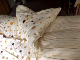 Freecycle Queen size duvet