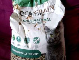 Freecycle Cat Litter