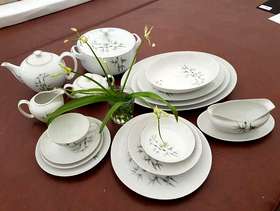 Freecycle 12 Piece Fine Bone china Tea and dinner service