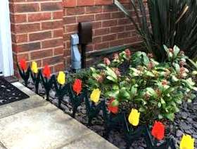 Freecycle Brand new garden tulip border edging