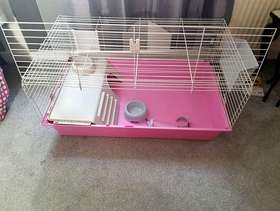 Freecycle New rabbit cage
