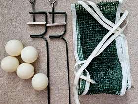 Freecycle Table tennis net and balls