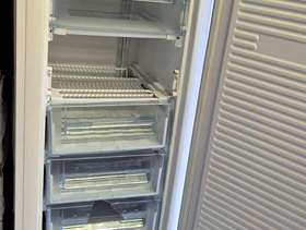 Freecycle Freezer