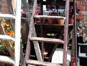 Freecycle Tall vintage wooden step ladder