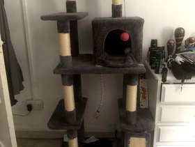Freecycle Car tree