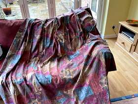 Freecycle A pair of curtains