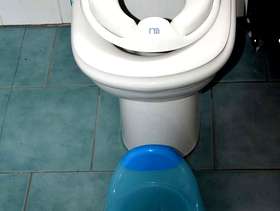 Freecycle Mothercare potty and child toilet seat