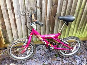 Freecycle Children's bike