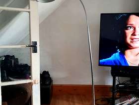 Freecycle Free standing lamp