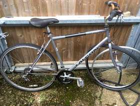 Freecycle Men's bike