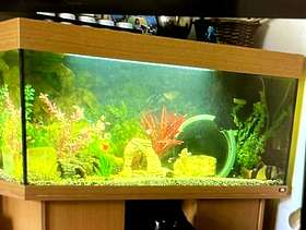 Freecycle Aquarium