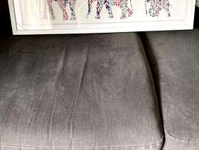 Freecycle Elephant picture