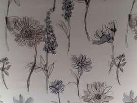 Freecycle Roller Blind