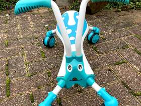 Freecycle Scuttle bug