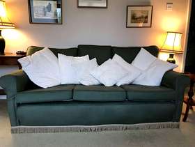 Freecycle Sofa in very good condition