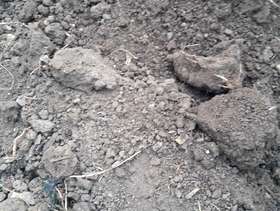 Freecycle Good quality topsoil
