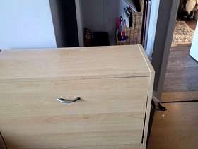 Freecycle Shoe cupboard