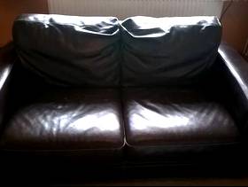 Freecycle Sofa