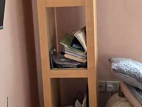 Freecycle Light wood bookcase