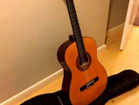 Freecycle Acoustic Guitar